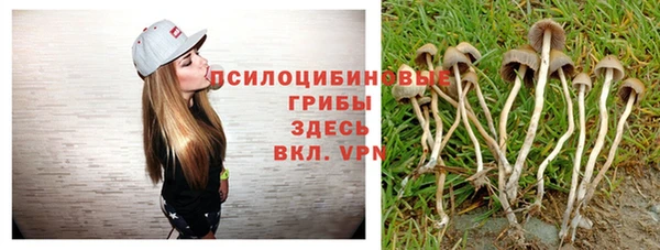 марки nbome Алексеевка
